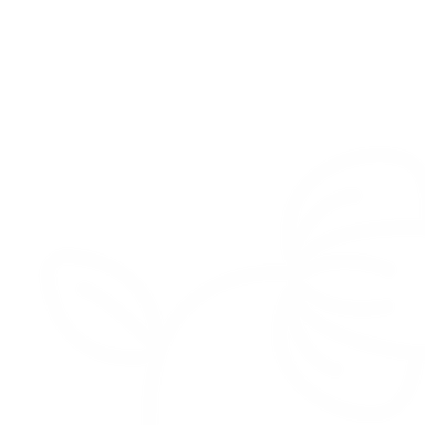foooter-images